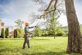 Mont Belvieu, TX Tree Services Company